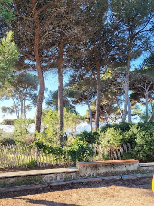 Entre Et Foret Saint-Mandrier-sur-Mer