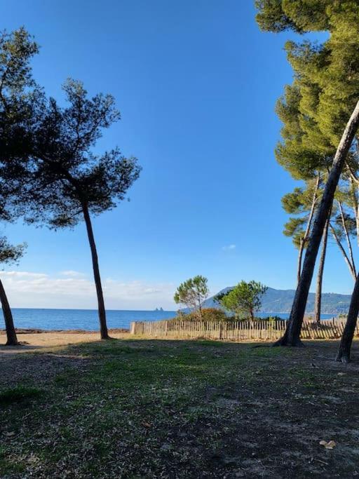 Entre Et Foret * Saint-Mandrier-sur-Mer