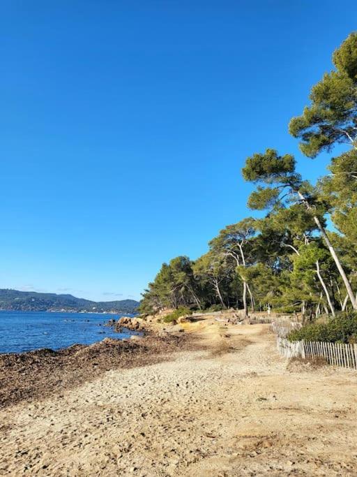 Entre Et Foret Apartment *