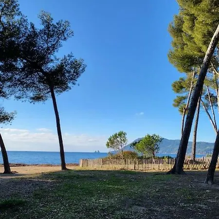 Charmant Studio Entre Mer Et Foret Saint-Mandrier-sur-Mer Exterior photo