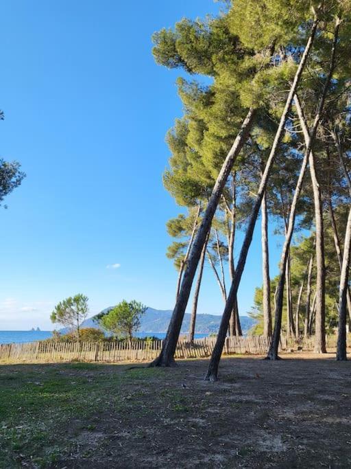 Entre Et Foret Apartamento *